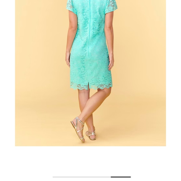 Lace Shift Dress - Mellow Aqua Size Medium - great pre owned condition! - Picture 2 of 6